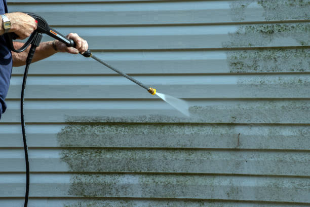 Best Patio and Deck Pressure Washing  in Randallstown, MD
